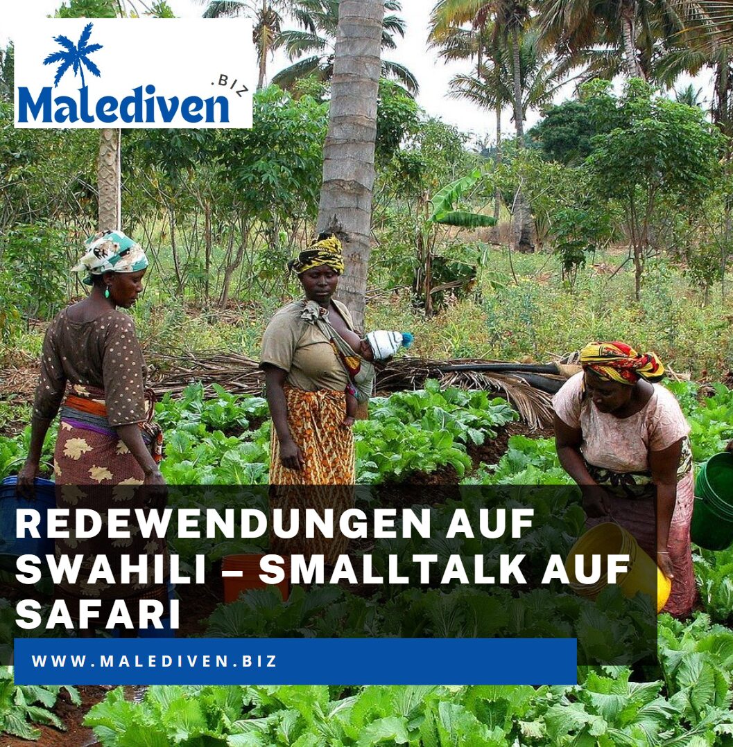 Redewendungen auf Swahili – Smalltalk auf Safari
