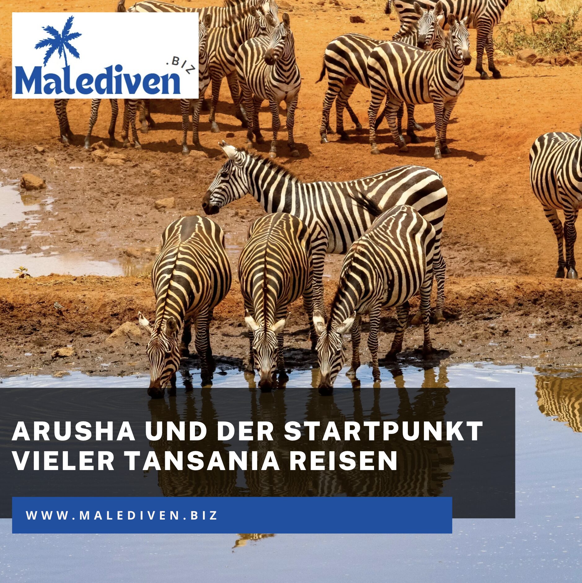 Arusha und der Startpunkt vieler Tansania Reisen