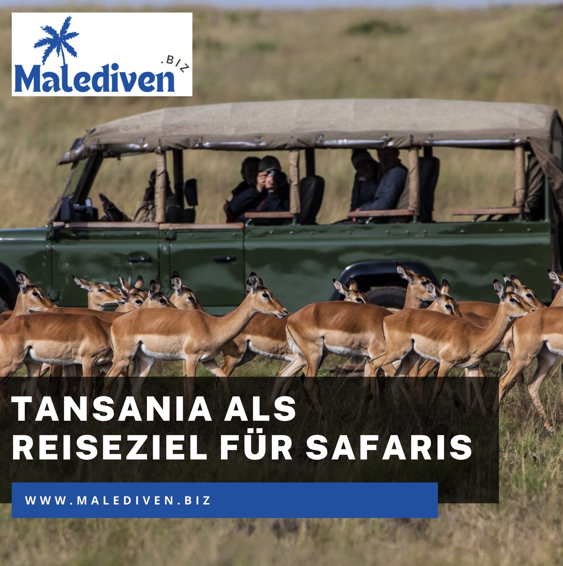 Tansania als Reiseziel für unvergessliche Safaris
