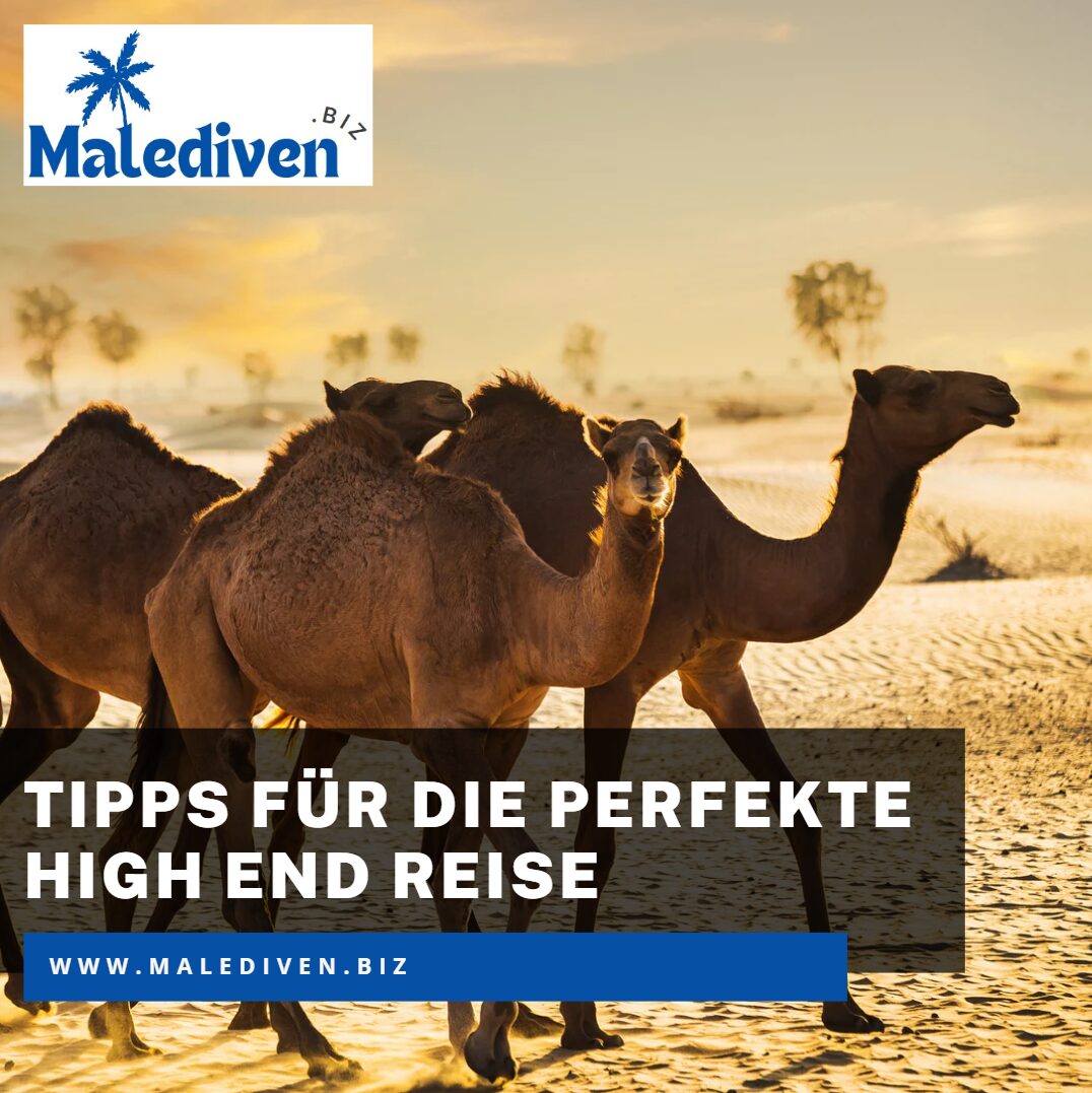 perfekte high end reise