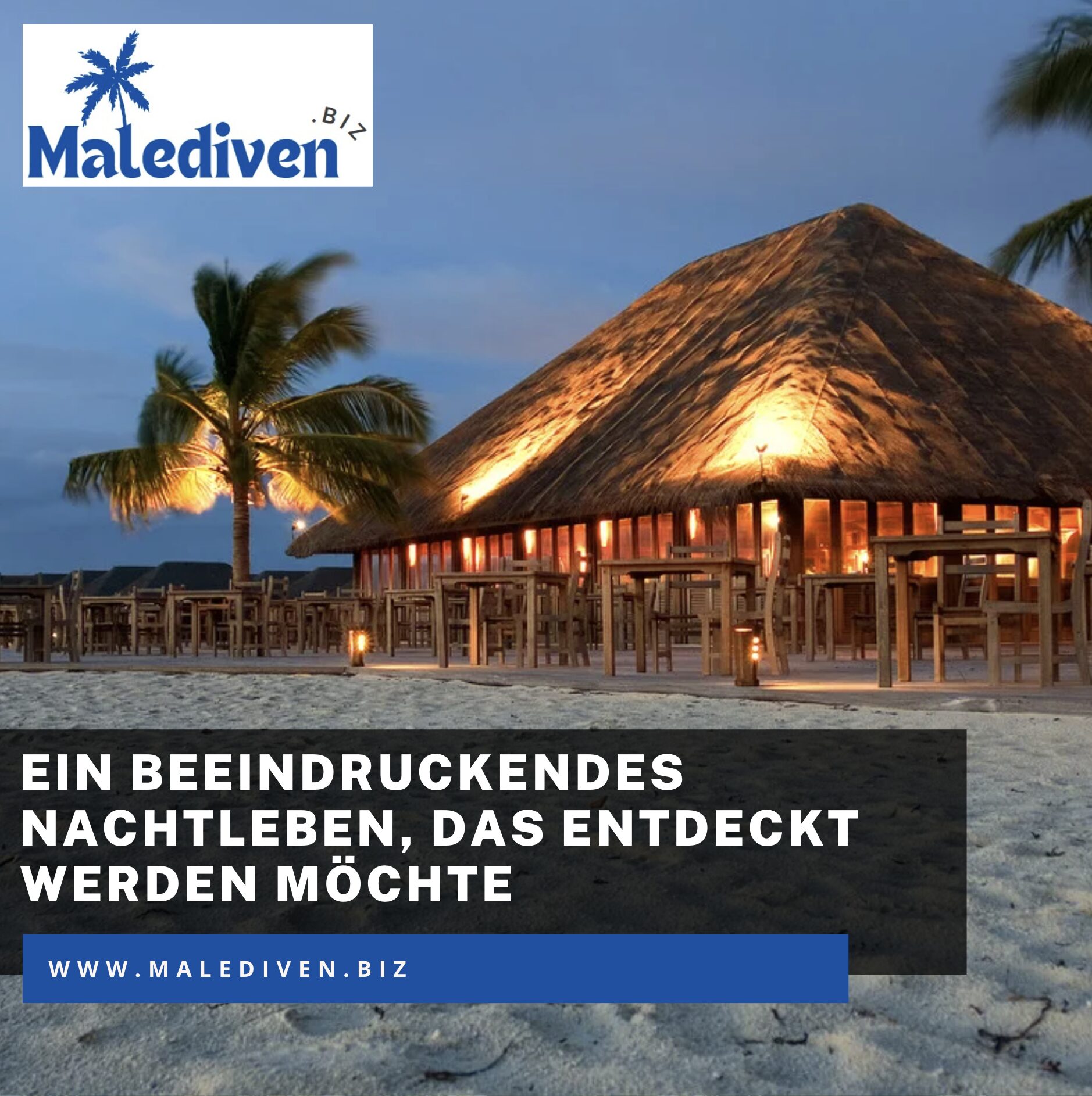 Ein beeindruckendes Nachtleben, das entdeckt werden möchte