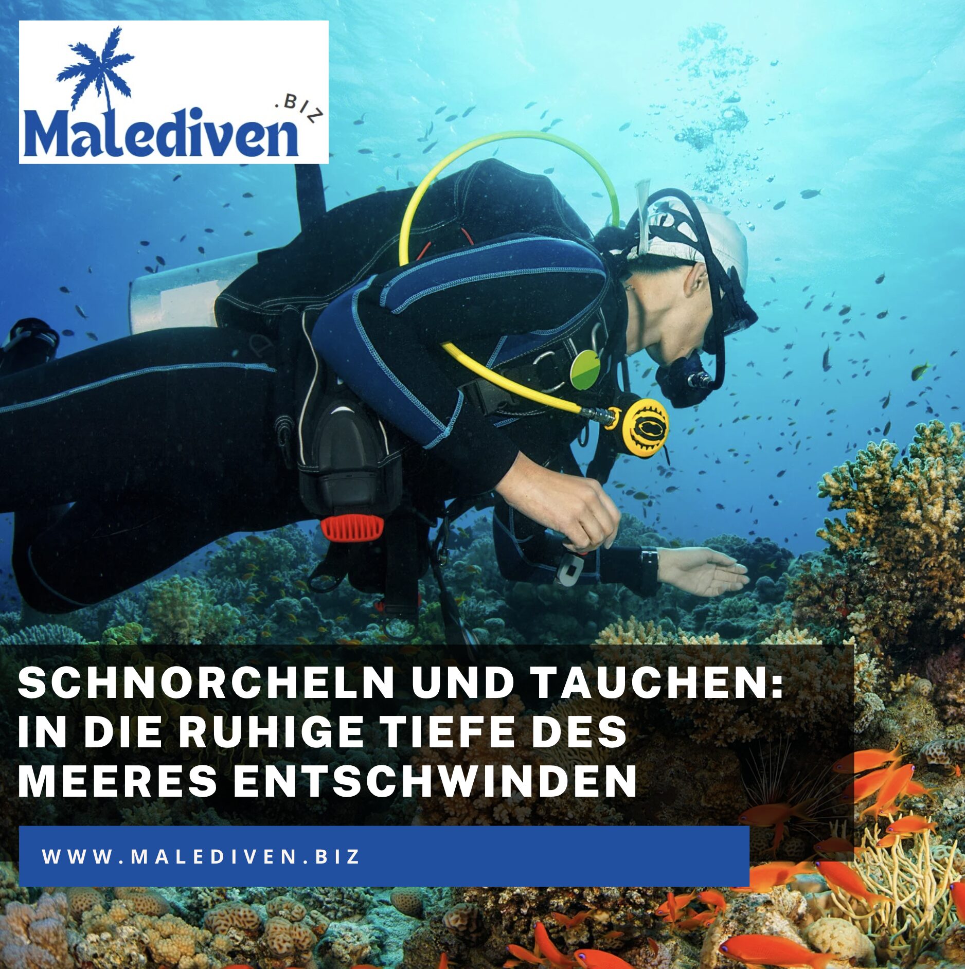 Schnorcheln und Tauchen Malediven
