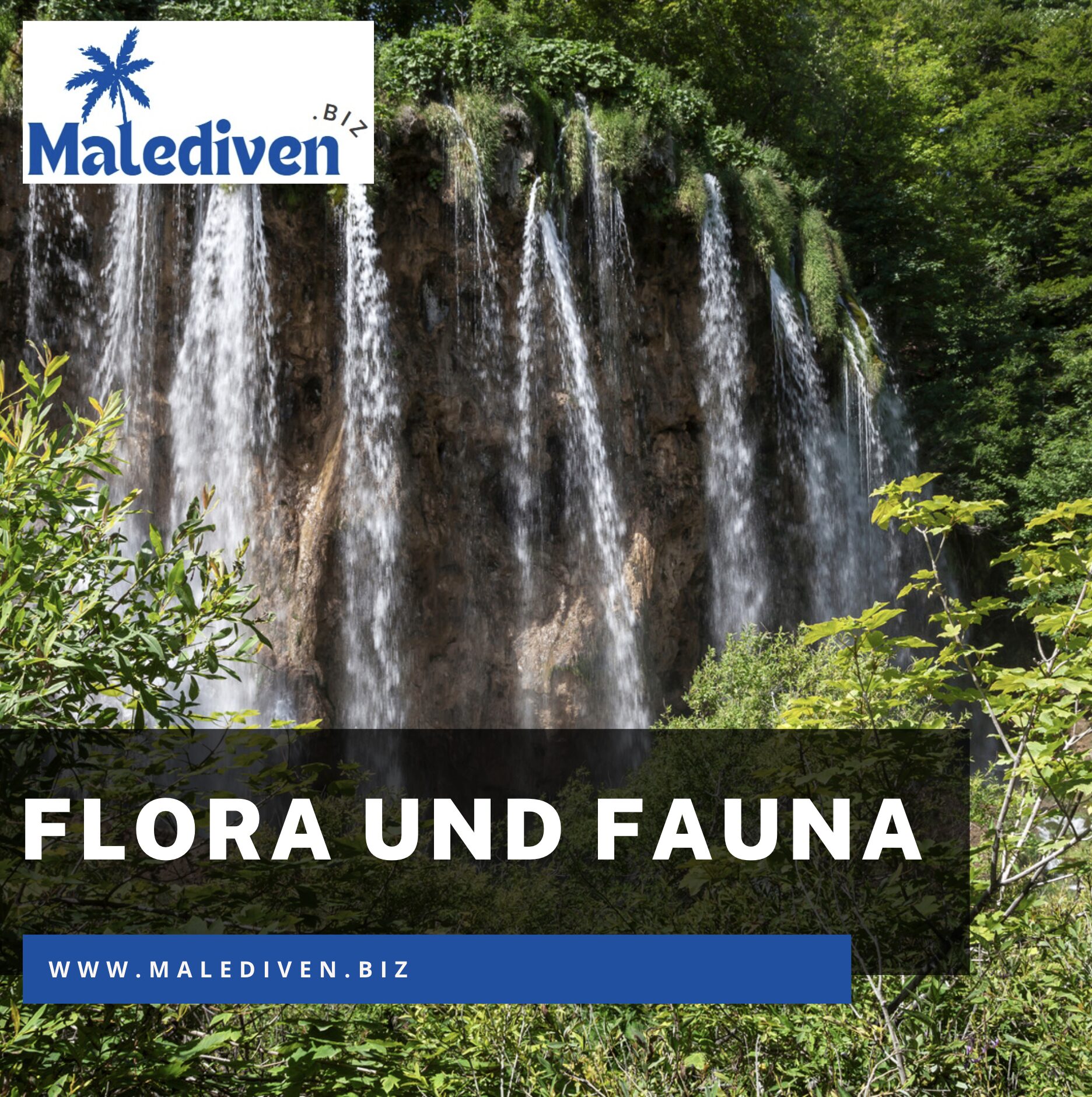 Schwimmen in den Plitvicer Seen: Flora und Fauna Schwimmen in den Plitvicer Seen: Flora und Fauna