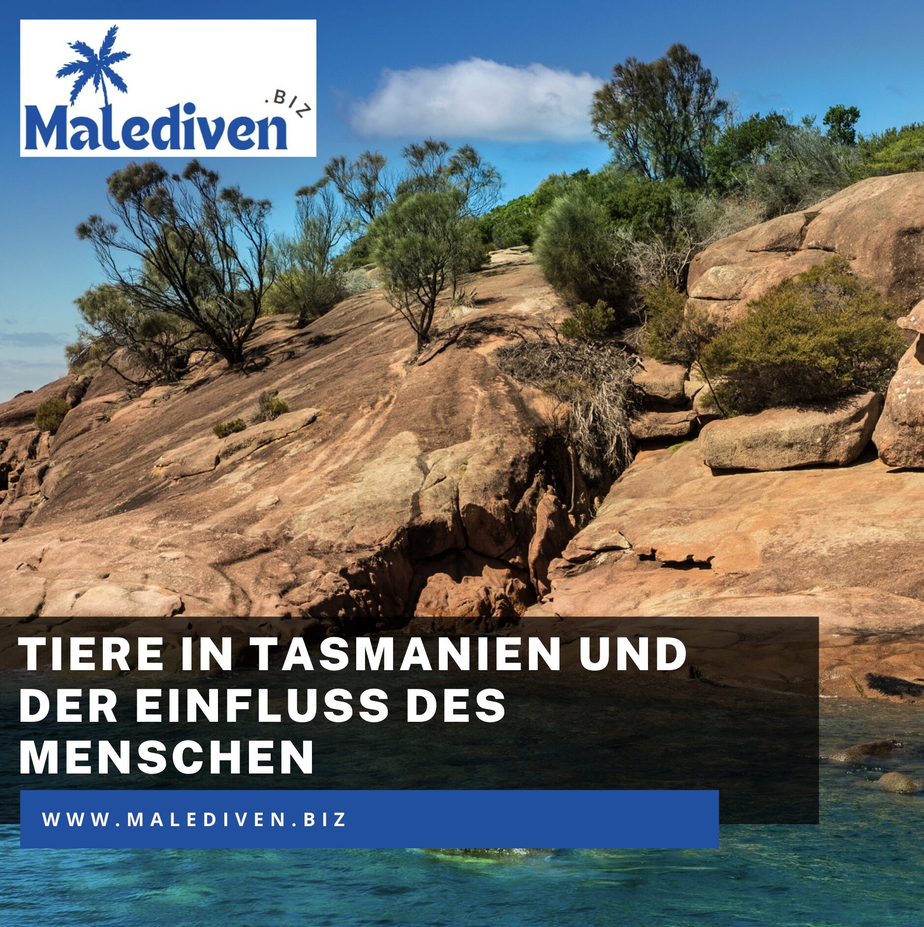 Tiere in Tasmanien und der Einfluss des Menschen auf die Natur Tiere in Tasmanien und der Einfluss des Menschen auf die Natur