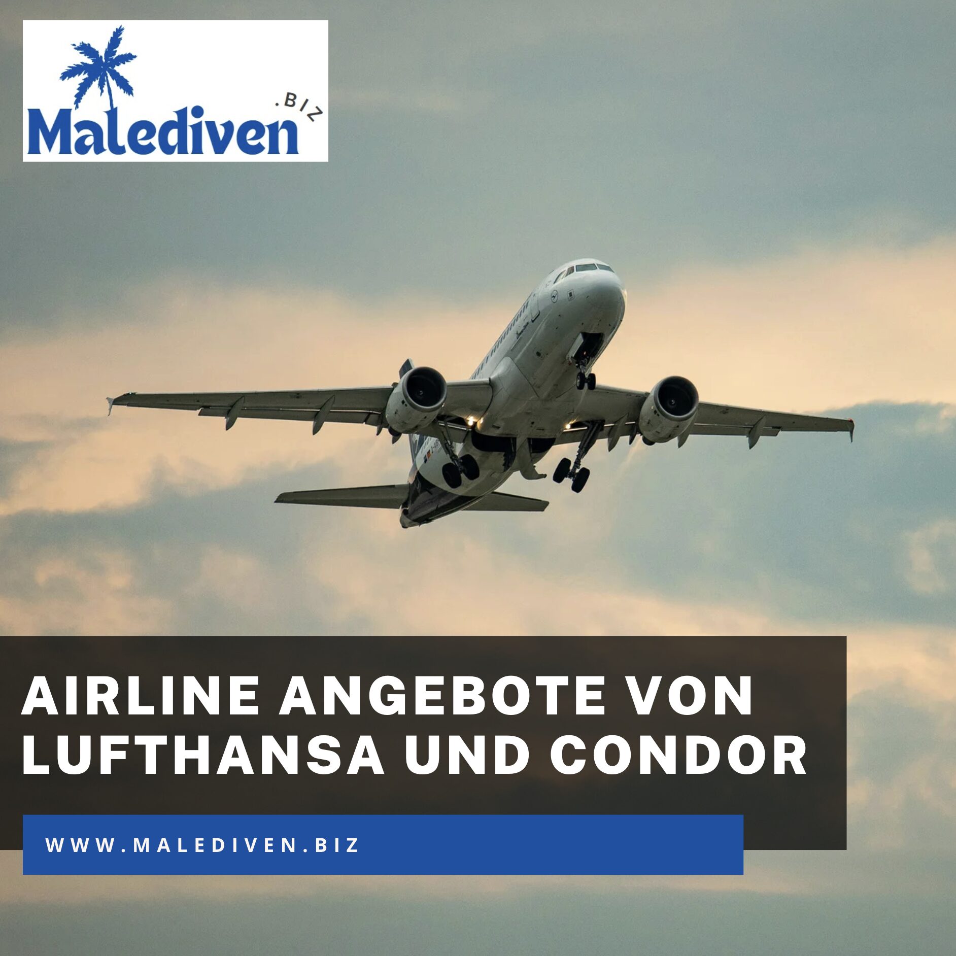 Wie lange fliegt man nach Madeira: Airline Angebote von Lufthansa und Condor