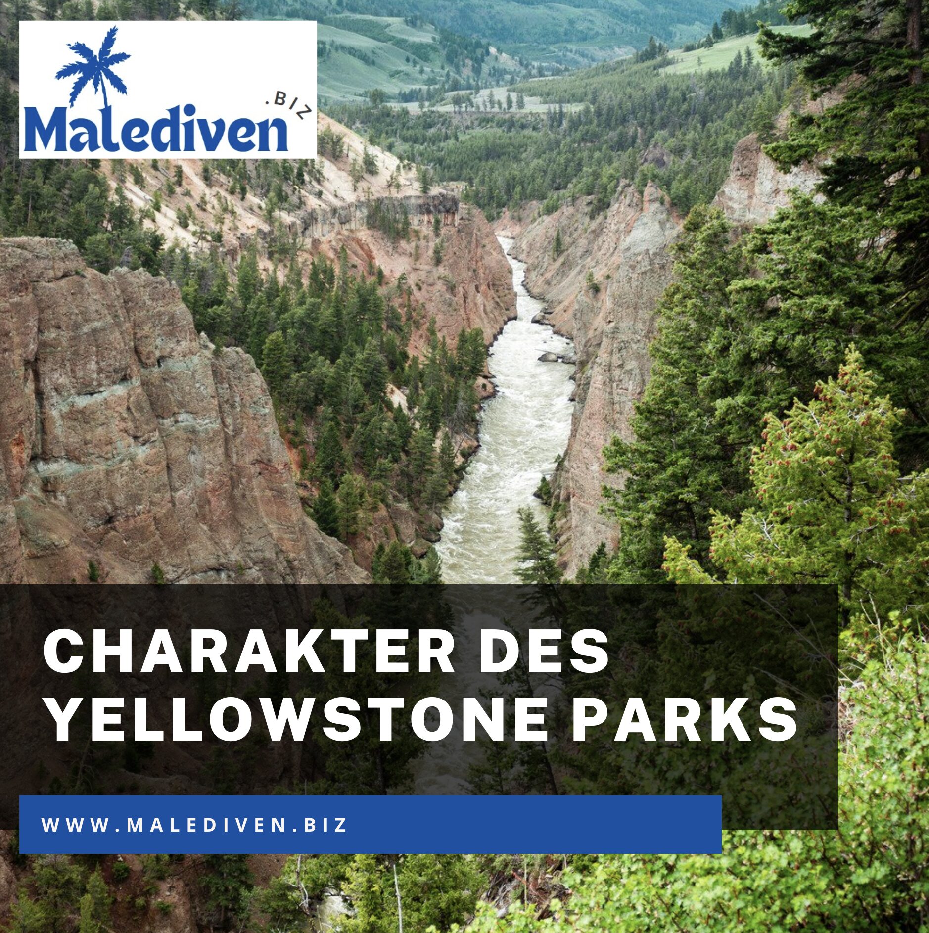 Warum die Größe den Charakter des Yellowstone Parks prägt Warum die Größe den Charakter des Yellowstone Parks prägt