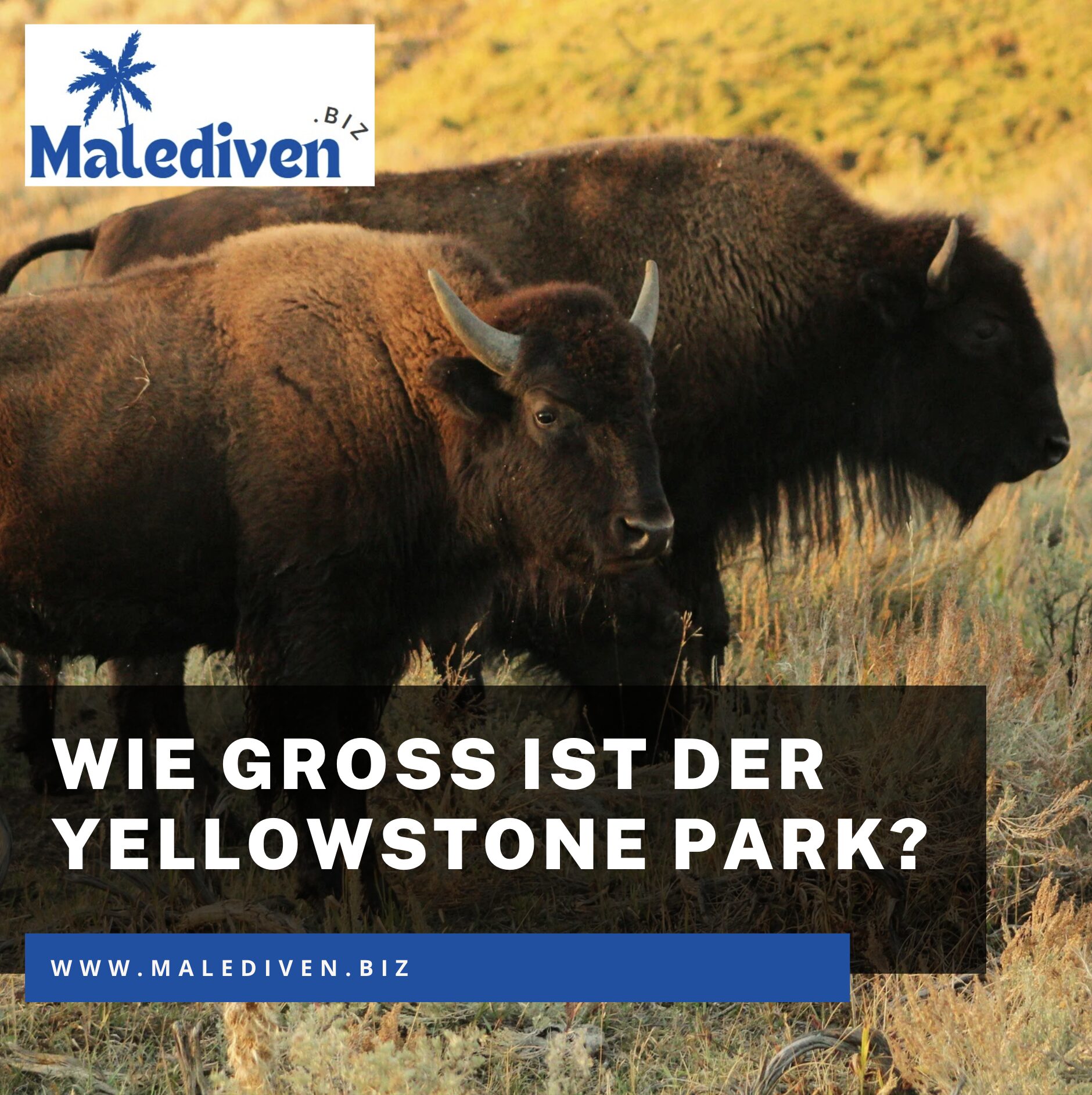 Wie groß ist der Yellowstone Park im Vergleich zu bekannten Gebieten Wie groß ist der Yellowstone Park im Vergleich zu bekannten Gebieten