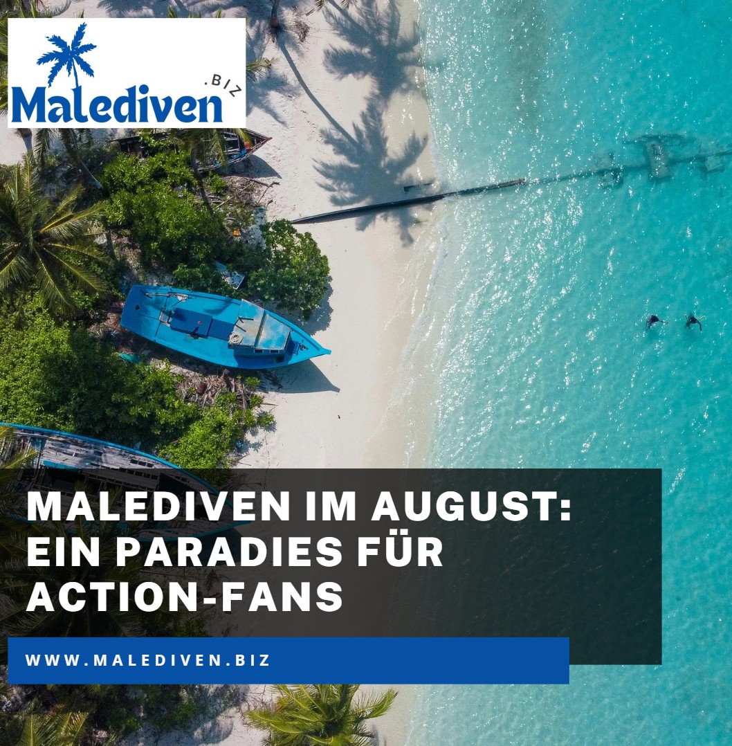 Malediven im August Ein Paradies für Action-Fans Malediven im August Ein Paradies für Action-Fans