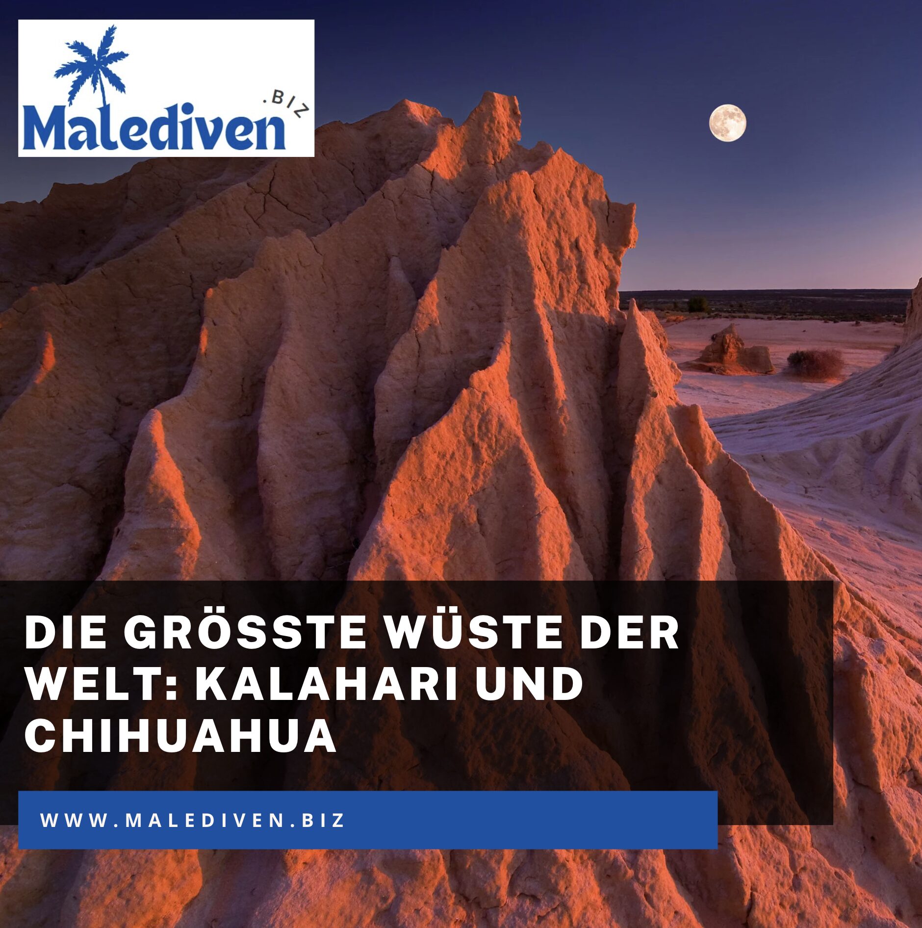 Die größte Wüste der Welt: Kalahari und Chihuahua Die größte Wüste der Welt: Kalahari und Chihuahua
