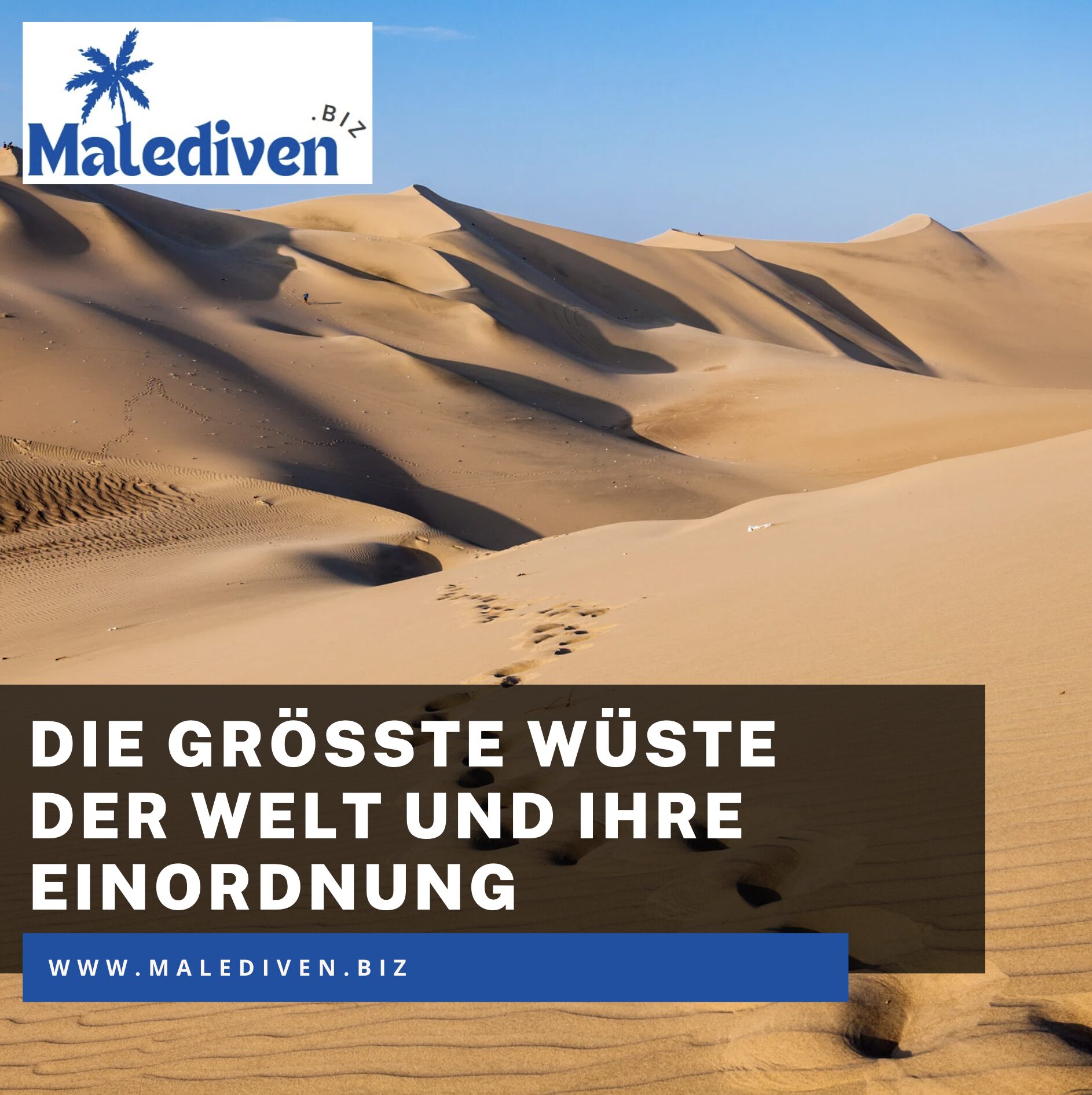 Die größte Wüste der Welt und ihre Einordnung Die größte Wüste der Welt und ihre Einordnung