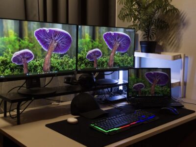 Second-Screen-Gewohnheiten