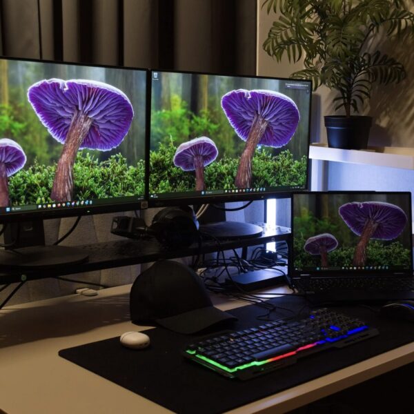 Second-Screen-Gewohnheiten