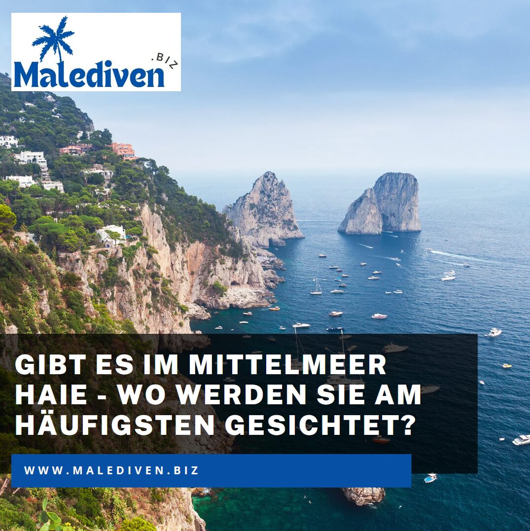 Gibt es im Mittelmeer Haie - wo werden sie am häufigsten gesichtet? Gibt es im Mittelmeer Haie - wo werden sie am häufigsten gesichtet?